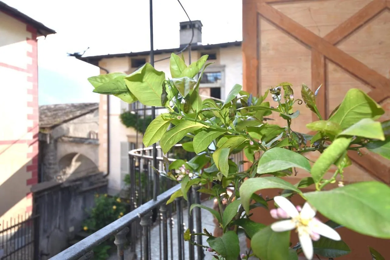 Casa vacanze Villa Il Drago Al Roseto Del Drago San Bernardo